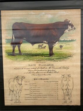 Creative Co-Op Race Flamande Cow Canvas Print 30” Farmhouse Rustic Veterinary